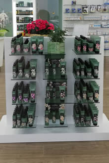 Farmacia Santanna Bettolino